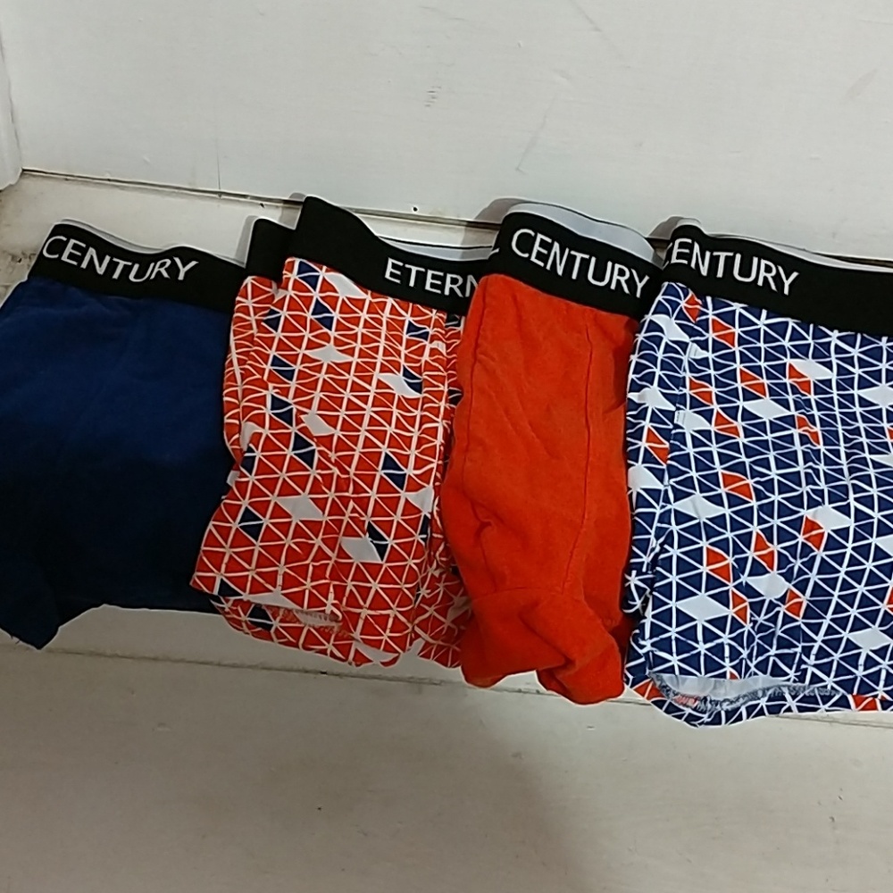Set of 4 Eternal Century briefs.